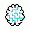 brain-sti